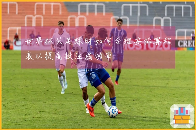 世界杯买足球时如何合理安排赛程表以提高投注成功率