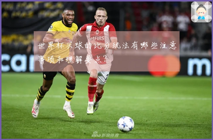 世界杯买球的比分玩法有哪些注意事项和理解要点？