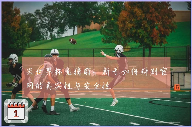 买世界杯竞猜前，新手如何辨别官网的真实性与安全性