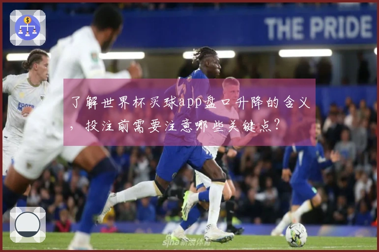 了解世界杯买球app盘口升降的含义，投注前需要注意哪些关键点？