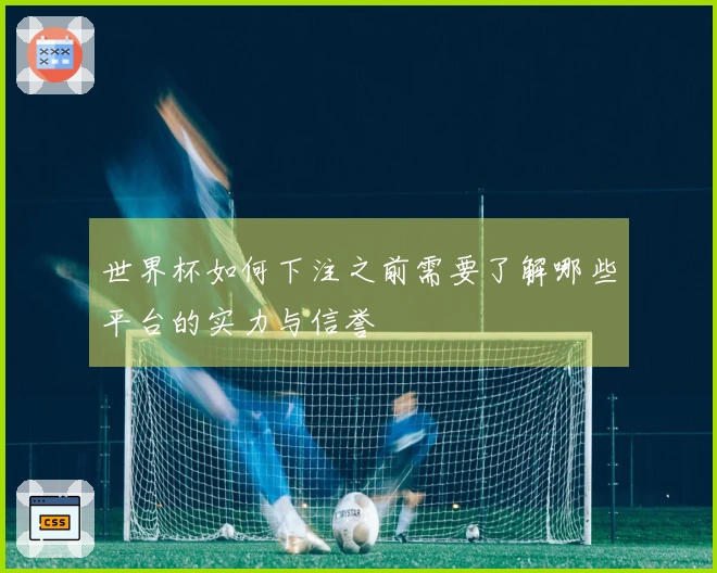 世界杯如何下注之前需要了解哪些平台的实力与信誉