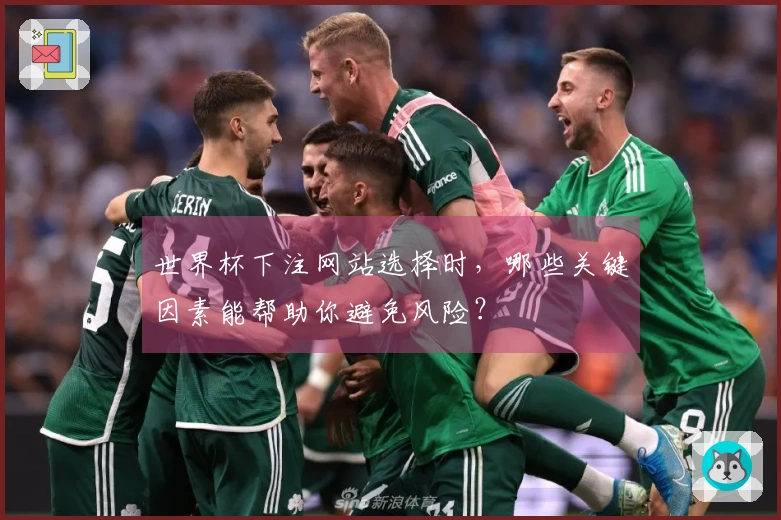 世界杯下注网站选择时，哪些关键因素能帮助你避免风险？