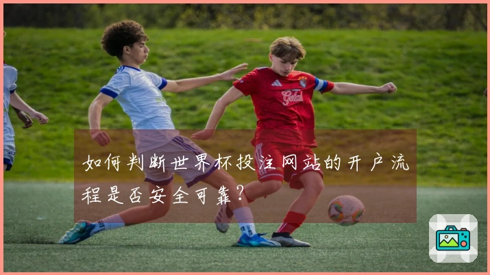 如何判断世界杯投注网站的开户流程是否安全可靠？