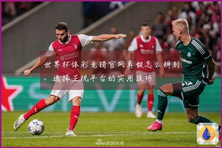 世界杯体彩竞猜官网真假怎么辨别，选择正规平台的实用技巧