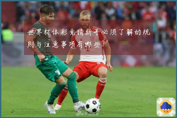 世界杯体彩竞猜新手必须了解的规则与注意事项有哪些？