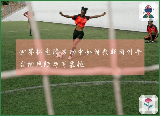 世界杯竞猜活动中如何判断海外平台的风险与可靠性