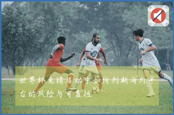 世界杯竞猜活动中如何判断海外平台的风险与可靠性