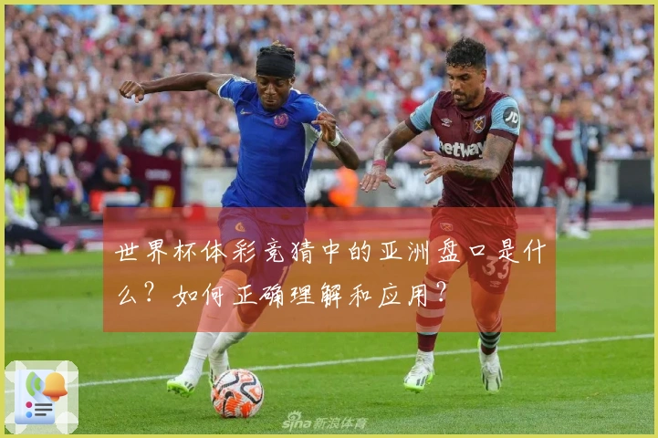 世界杯体彩竞猜中的亚洲盘口是什么?如何正确理解和应用?