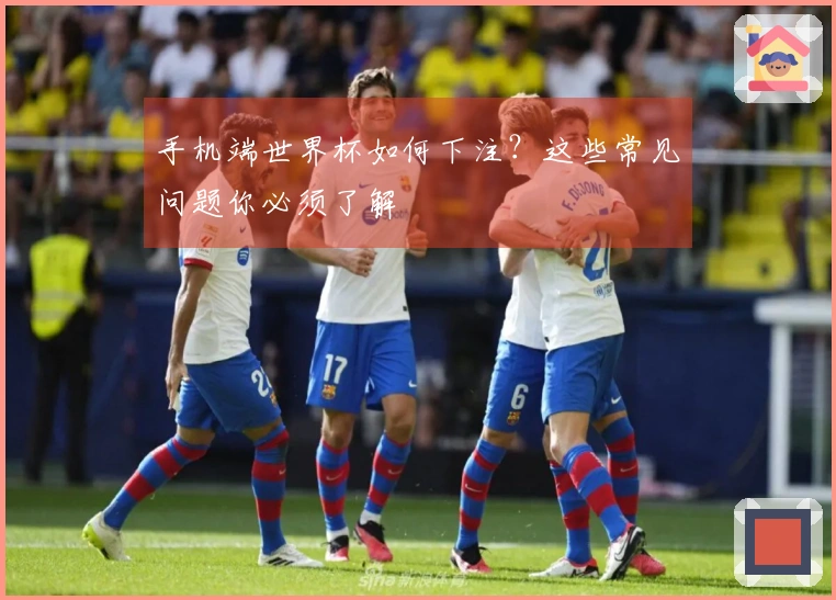 手机端世界杯如何下注？这些常见问题你必须了解