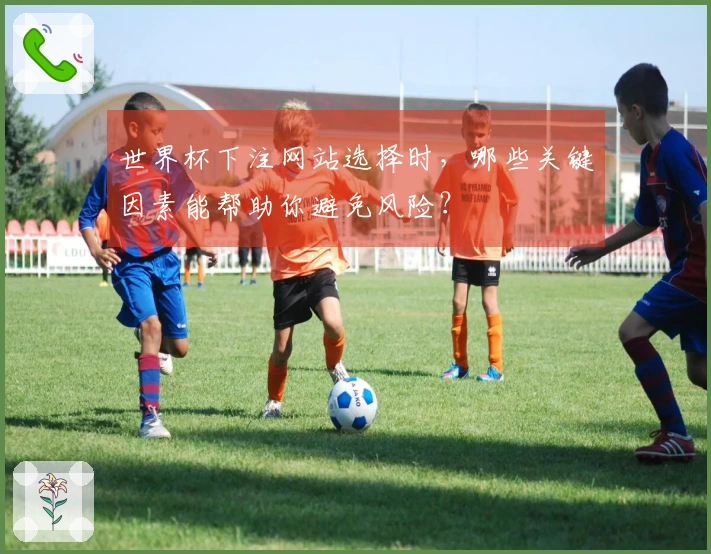 世界杯下注网站选择时，哪些关键因素能帮助你避免风险？