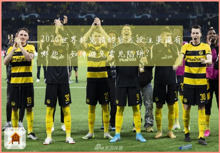2026世界杯竞猜的官方投注渠道有哪些，如何避免常见陷阱？