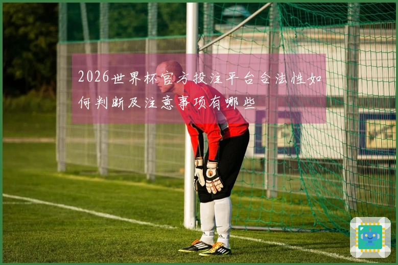 2026世界杯官方投注平台合法性如何判断及注意事项有哪些