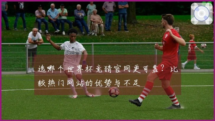 选哪个世界杯竞猜官网更可靠？比较热门网站的优势与不足