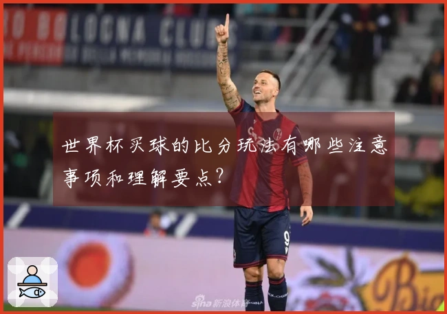 世界杯买球的比分玩法有哪些注意事项和理解要点？