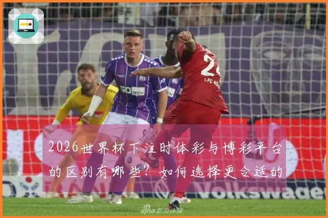 2026世界杯下注时体彩与博彩平台的区别有哪些?如何选择更合适的渠道?