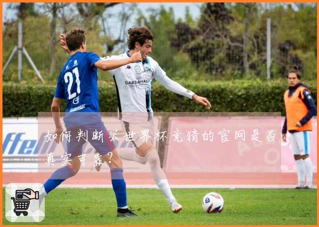 如何判断买世界杯竞猜的官网是否真实可靠？